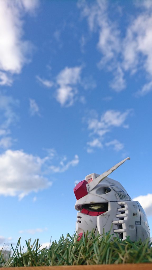 自然光強い。
ホント自然光強い。