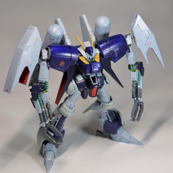 HG バイアラン・カスタム