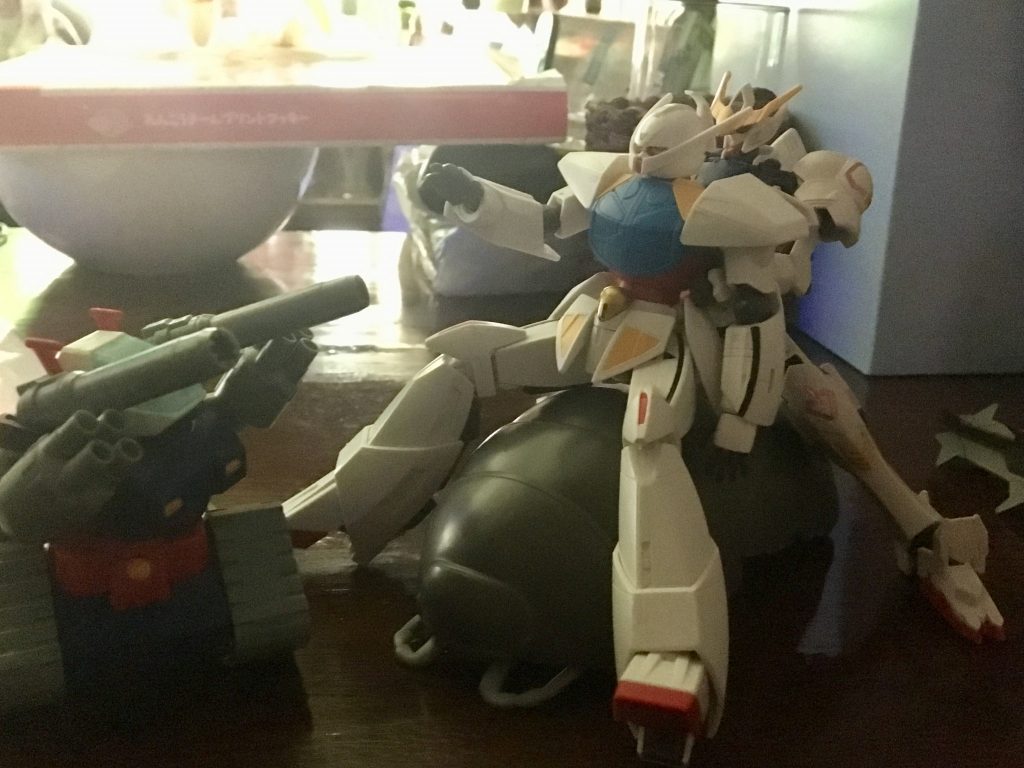 連れ帰るため、まずはうちの子たちとの相性を見ます。
仲良く遊んでいる様子ですね。大丈夫そうです。
……ですが、ひとつ心配なことがありました。