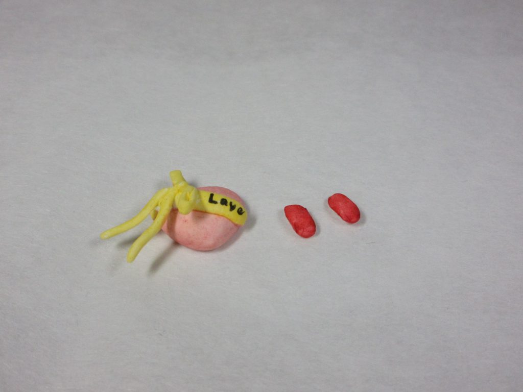 作製したバレンタインセット。