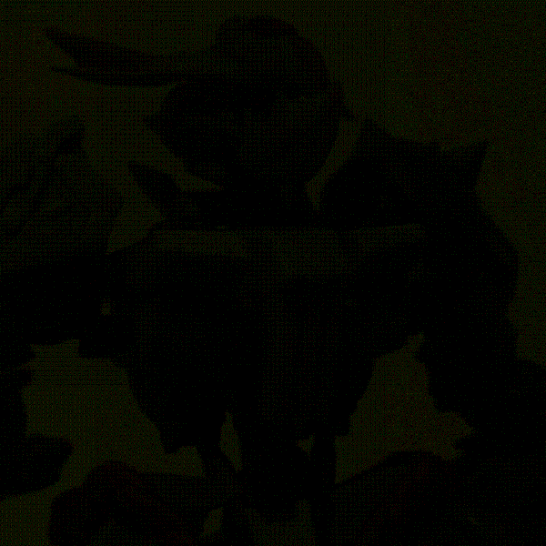 実況者専用ガンプラ　「ガンダムバルバトス・ガルルガ」