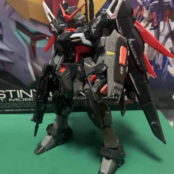 RG ディスティニー