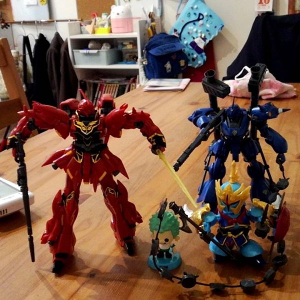 姪が作ったシナンジュ達