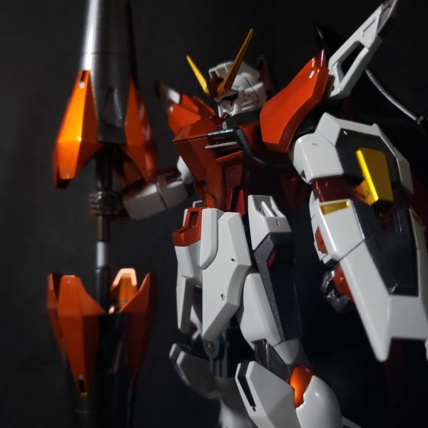 ハイネ専用デスティニー