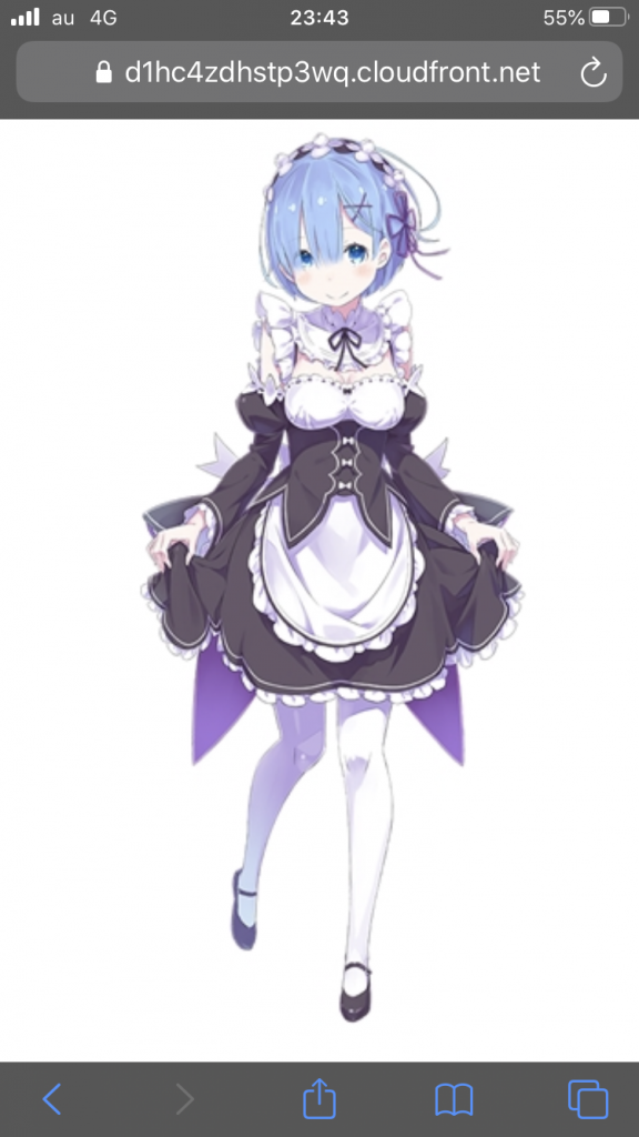 知らない人の為にこのキャラクターがレムで双子の妹です。
鬼がかってます。