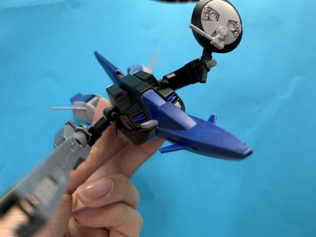 オオツキガタは羽がない分見せ方に難儀しますね。