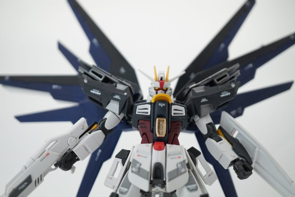 フリーダム–5枚目/制作者：クロニクル