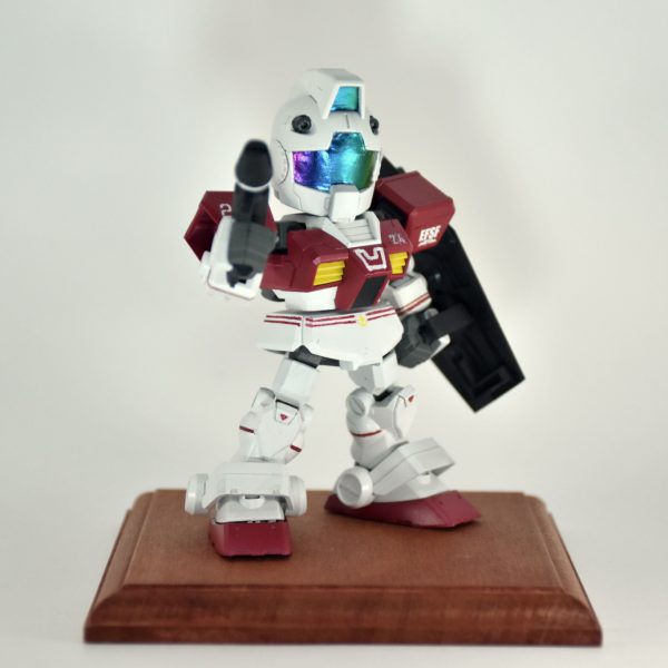 SDCS ジム リアルタイプカラー