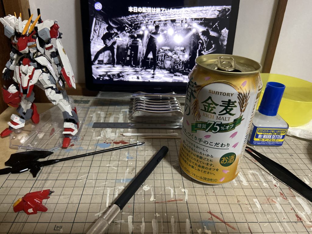 3/1
ナンバーガールの無観客ライブを観ながら追加のデカール貼り。異常空間Z。完成。お疲れ様でした。