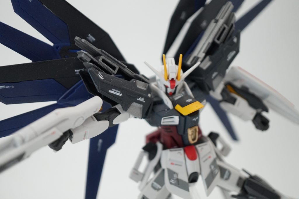 フリーダム–4枚目/制作者：クロニクル