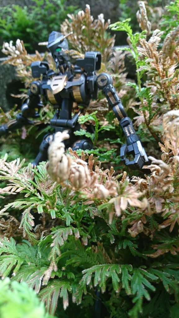 現地民「なんだあれは…巨人が森に…」
現地民「あれはモビルスーツ?いったい何が?」
現地民「戦争でも始める気か?」