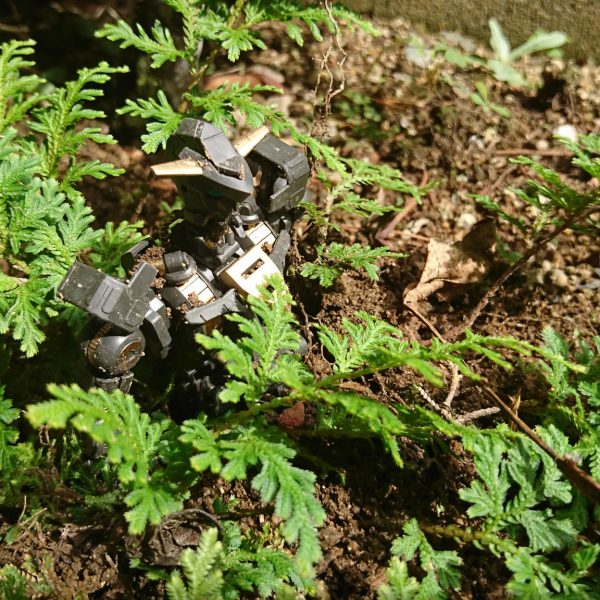 ガンダムフレーム