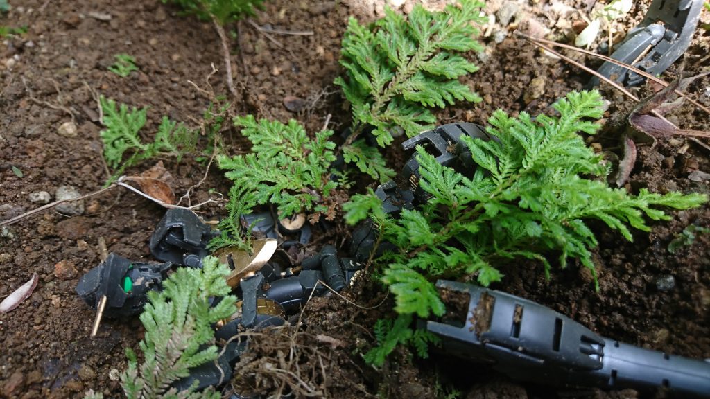 彼女が眠りについて幾年月…
彼女の鎧はそこになく、生命という新しい衣を身にまとい静かに横たわっていた。