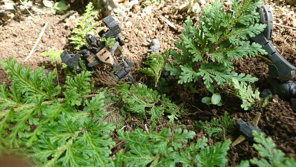 幾多の戦場を駆け抜けた彼女は全ての終わりとともに眠りにつく。