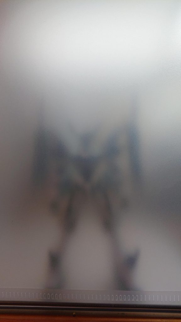 エデンヴァルハラの当主組織に所属している電子生命体からは神として崇められているこの姿の機体は彼がハッキングして操作しているその姿は現時点では謎実力も未知数である