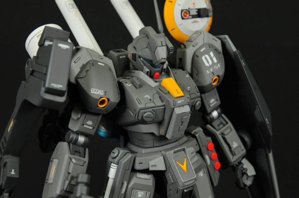 スミ入れの雑さが目立つ。でもこの濃いグレーの色はとても好き（ガイアのニュートラルグレーⅣ）