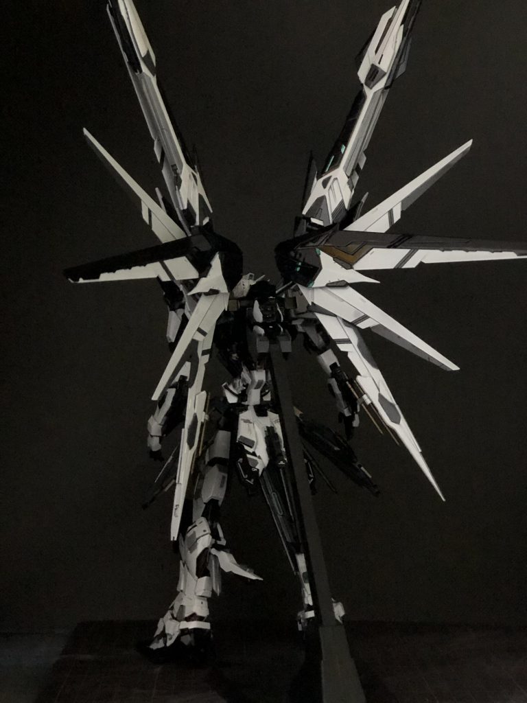 広背筋はいい感じに仕上がっていると思います。