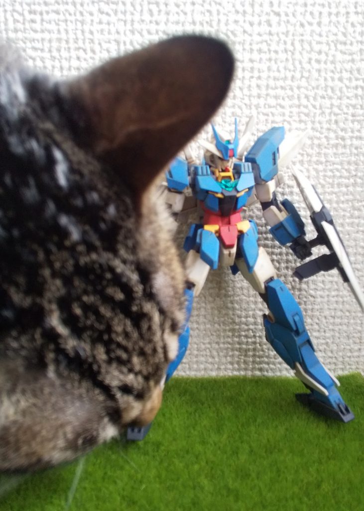 飼い猫に襲われました。