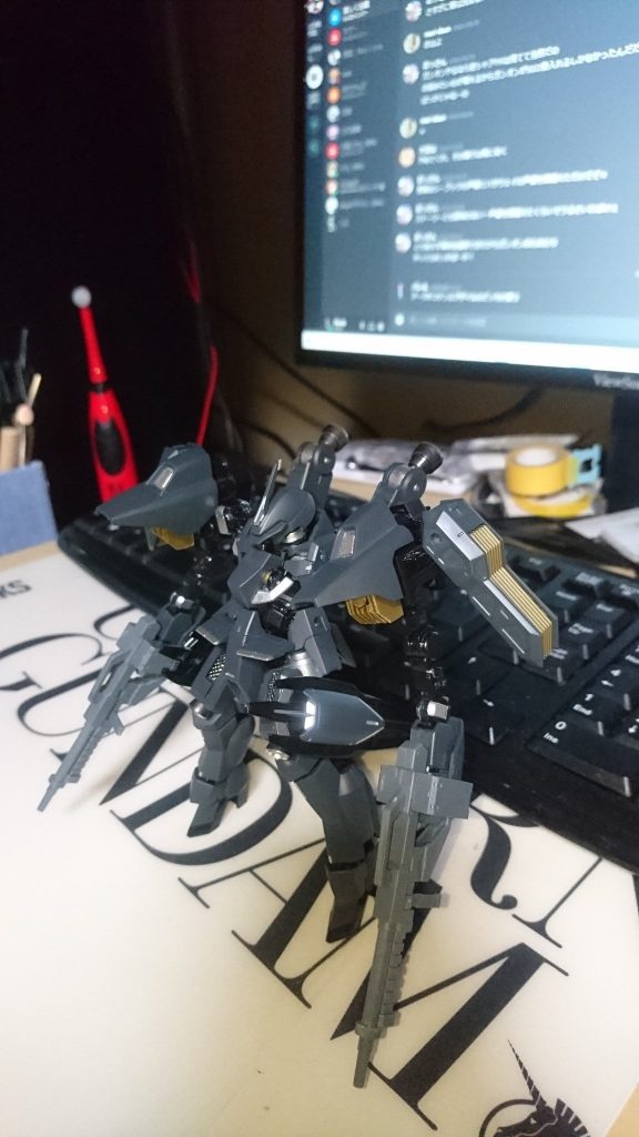 黒い鳥・・・そう呼びたくなるカラーリング。
結構気に入っています。