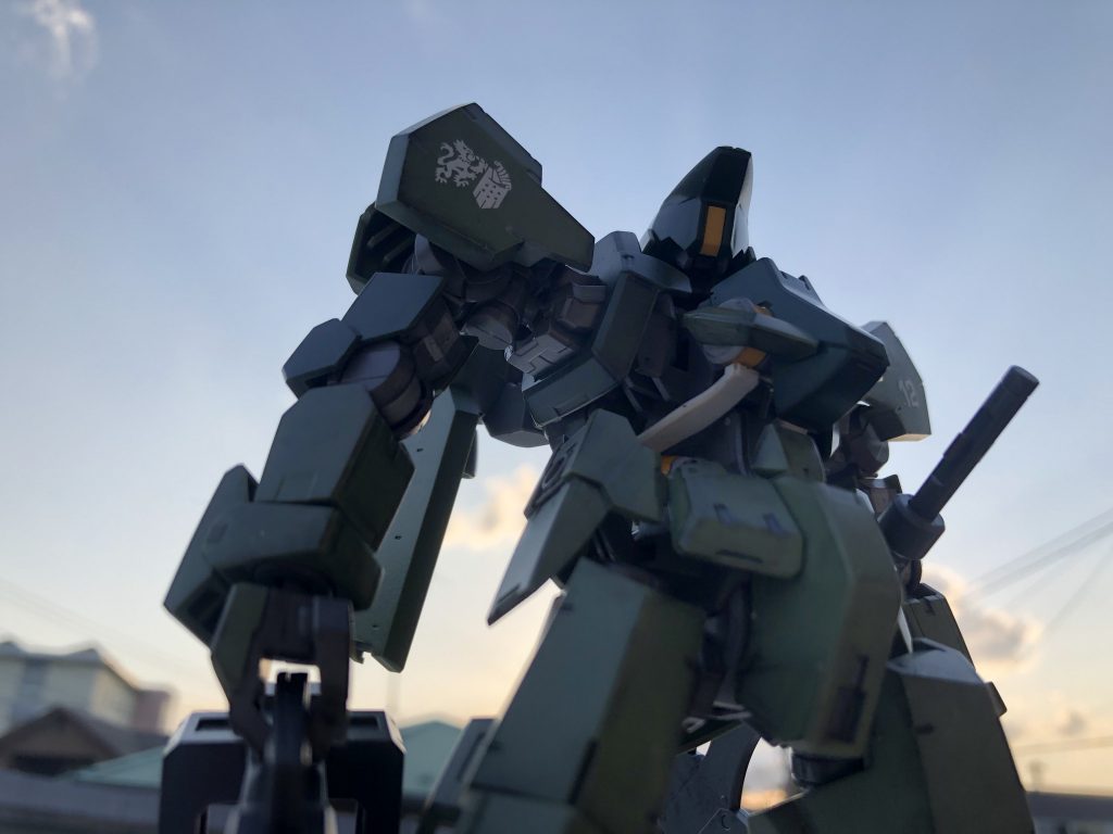 夕日がきれいだったので庭で撮影しました。