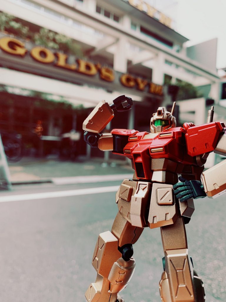 ようこそゴールドジムへ