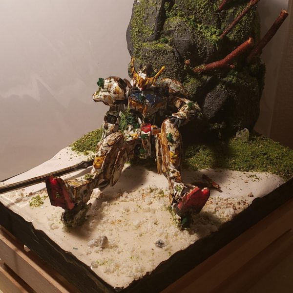 地球での戦いを終えて…