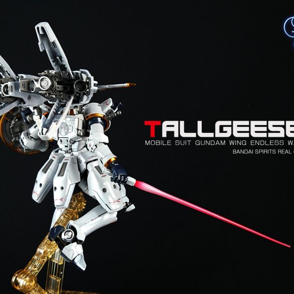 RGトールギス EW