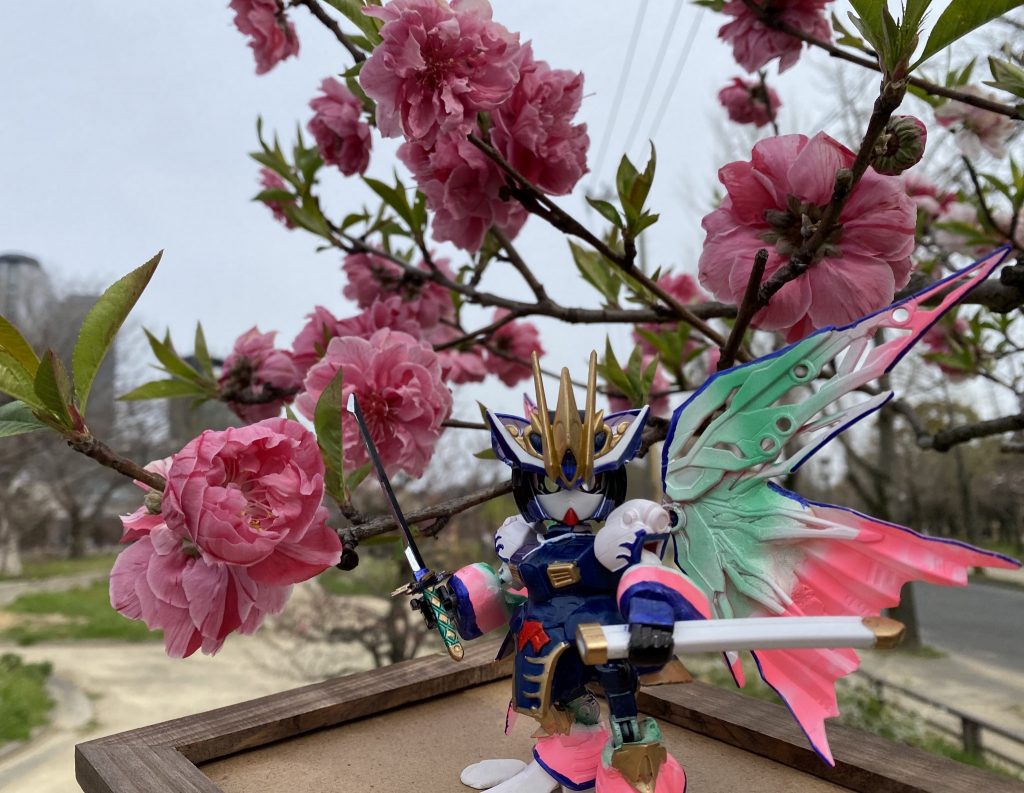 桜が似合います♪