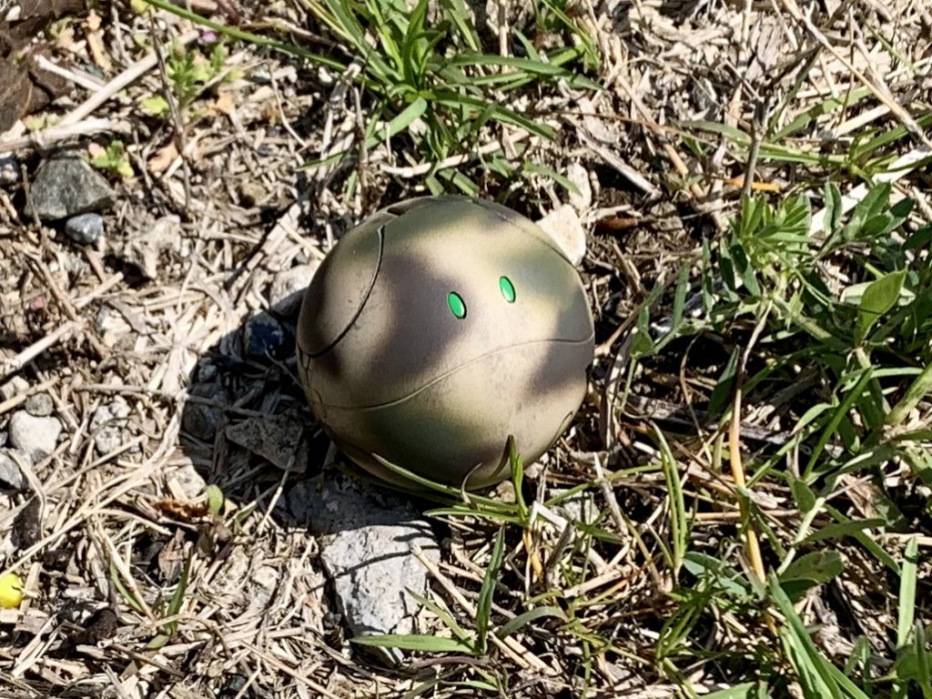 TOP画像をズームしました