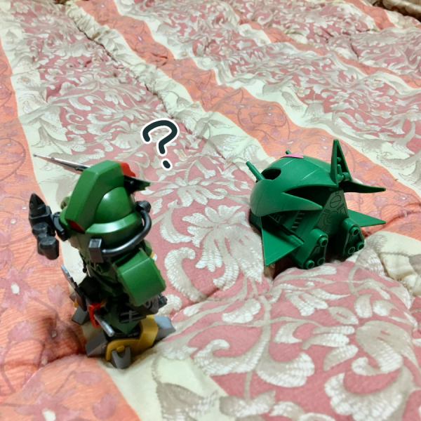 「これからどうする？」