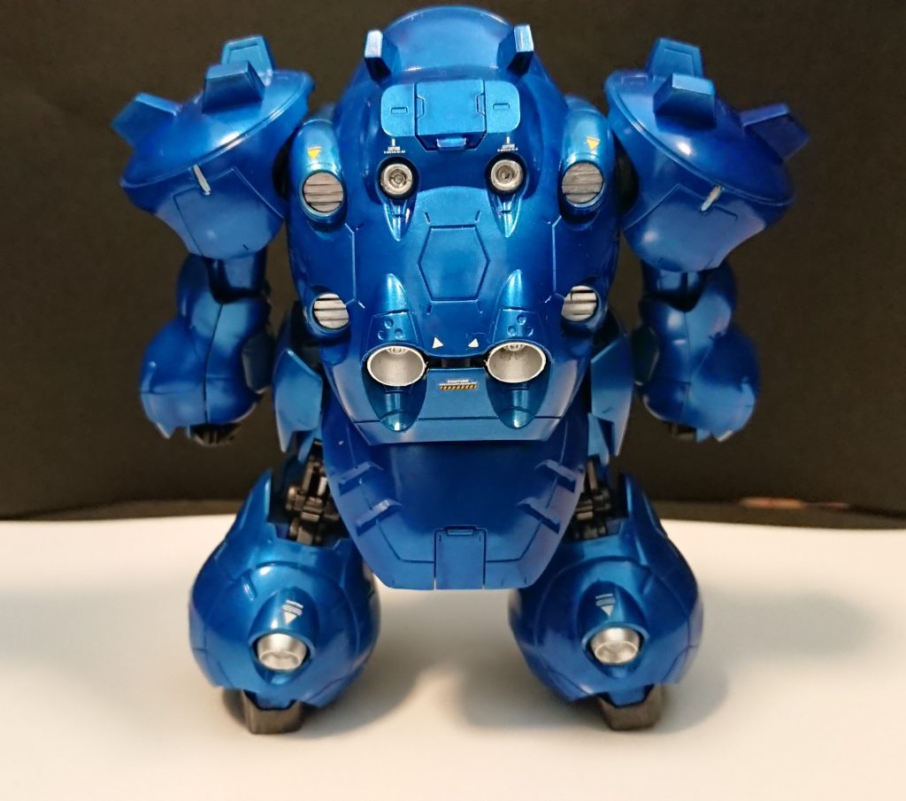 バックショット。素のままでも良かったのだが、アクセントとしてちょこっとだけデカールを貼ってます。