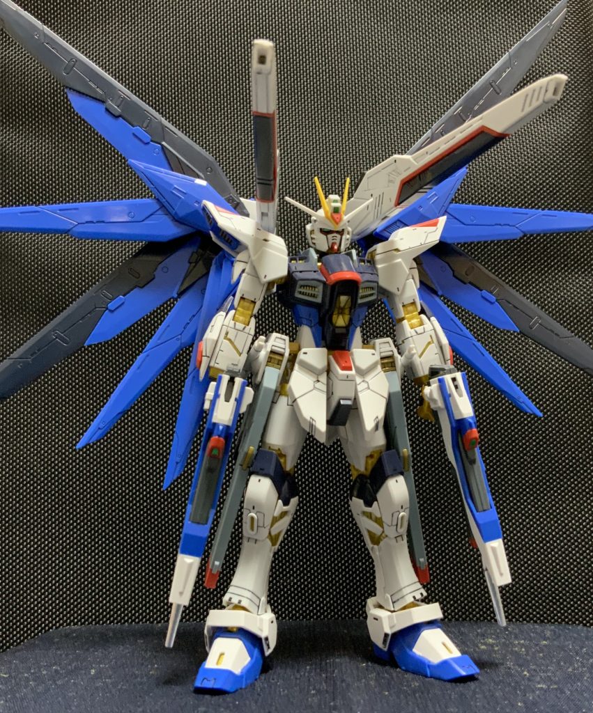 おまけ:機動兵装ウイング 周りを改修している間、フリーダムのWING UNITを装着させてみました。M100 バラエーナ・プラズマ収束ビーム砲を展開するとイメージが変わりますが、違和感有り。。。⁉️