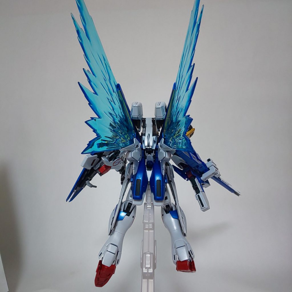 あまり見ない後ろ姿。