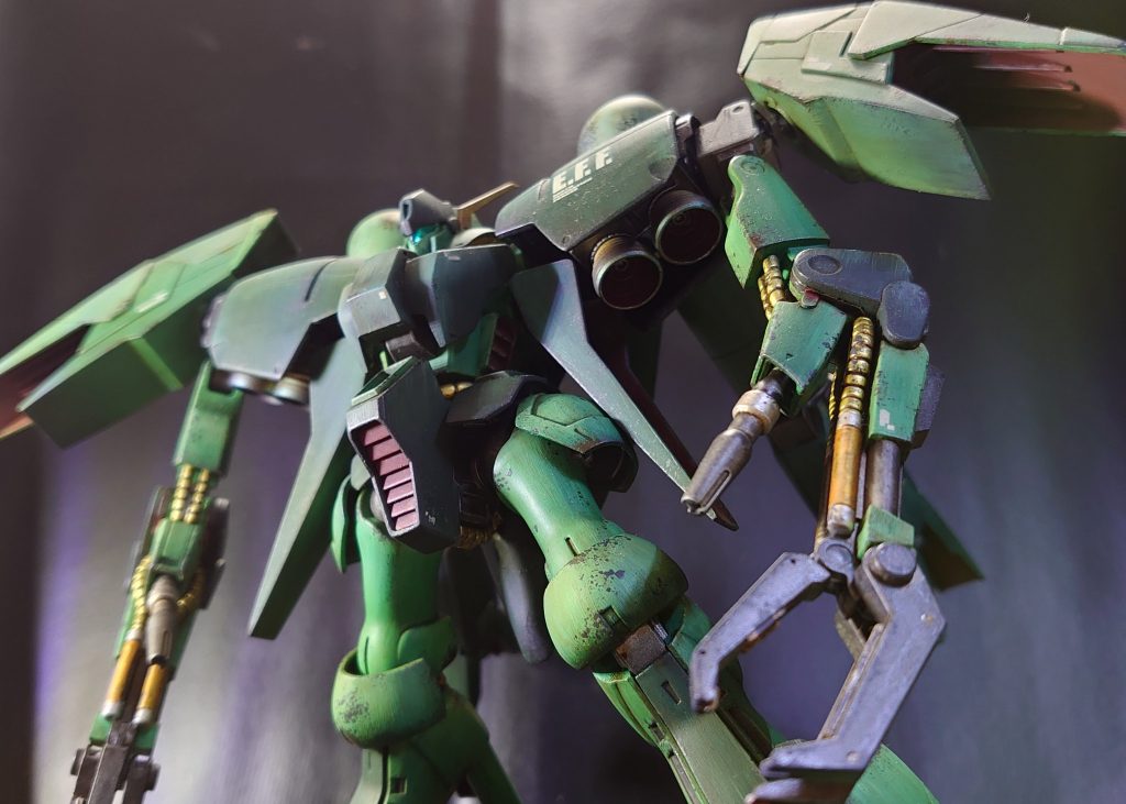 アオリ。どーん