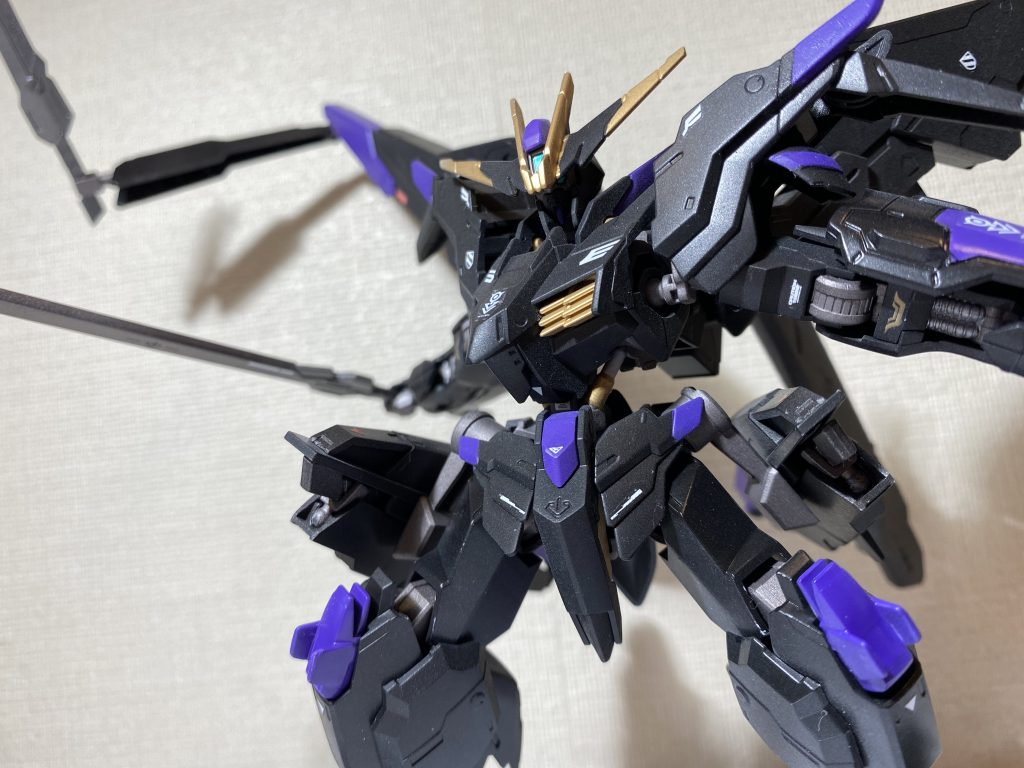 黒すぎて目が写ってない…