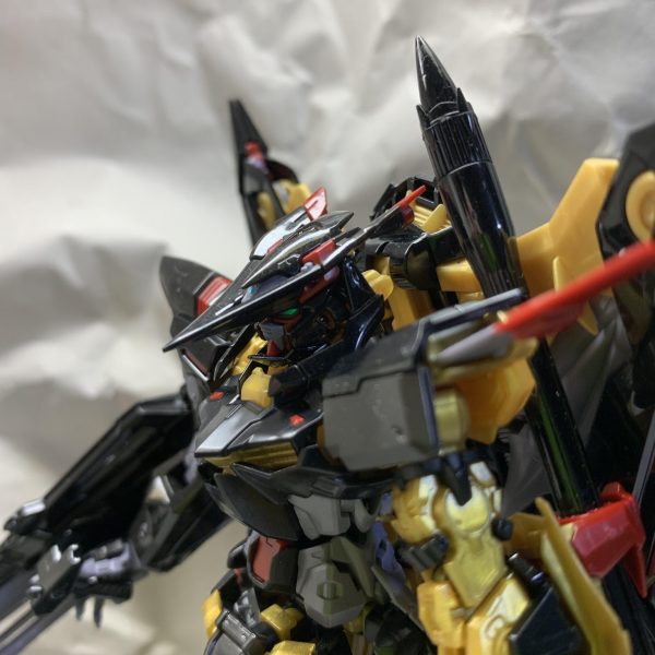 アストレイゴールドフレーム天ミナ