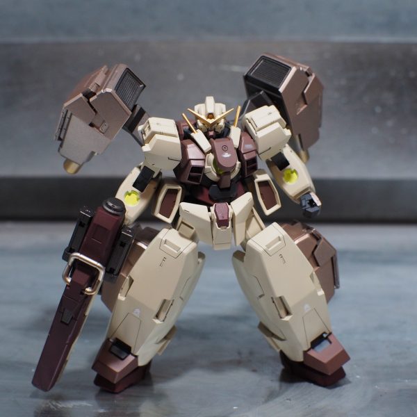 HGヴァーチェ　ブラウンドッグカラー