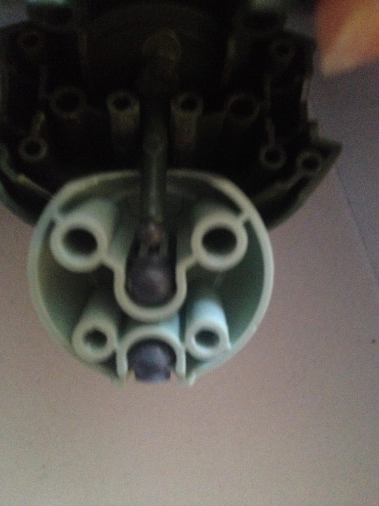 おなかの中。
グリモアのぐりぐりうごくとこは、もあもあ残ってる。