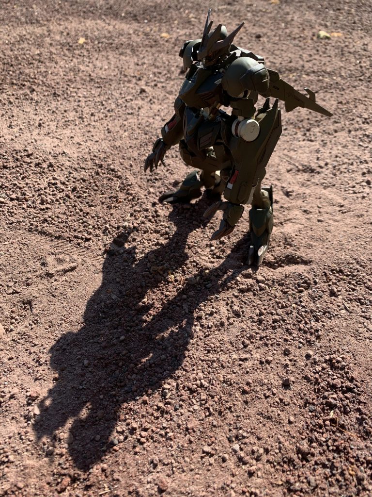 逆光の寂寥感もいいですね