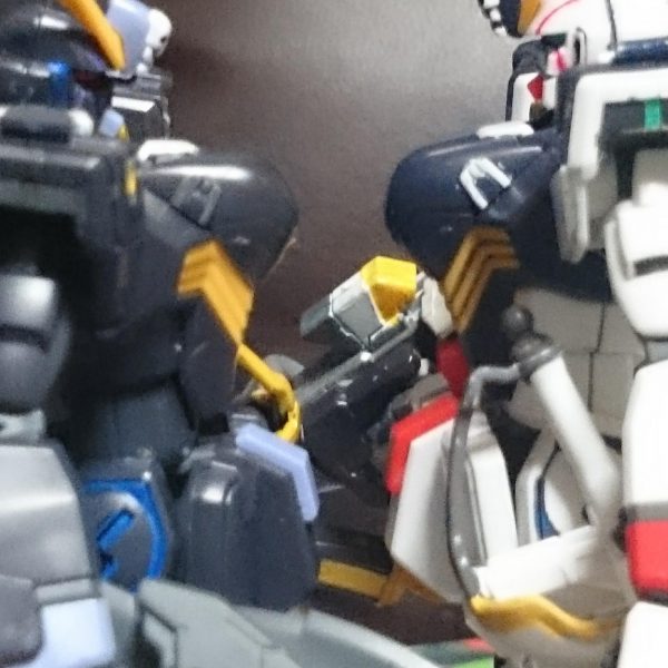 キンケドゥとザビーネ