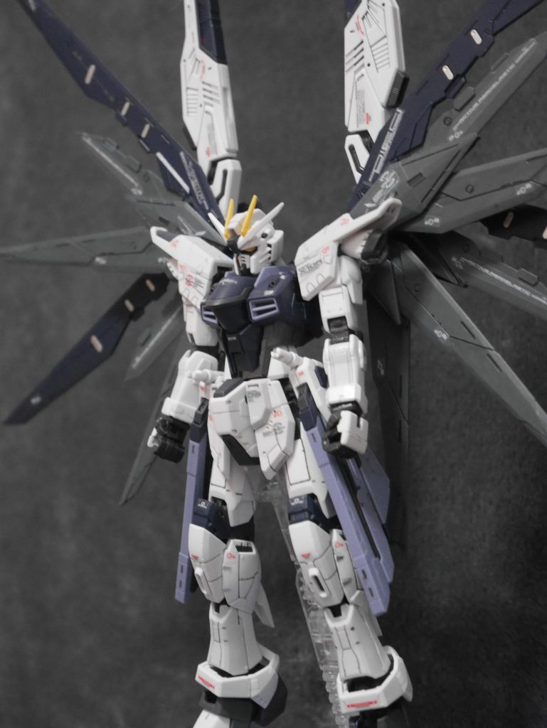RG ZGMFーX10A  FREEDOM–2枚目/制作者：ガンダムプラ男