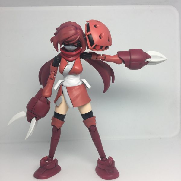 ダイバーアヤメ　ズゴック装備