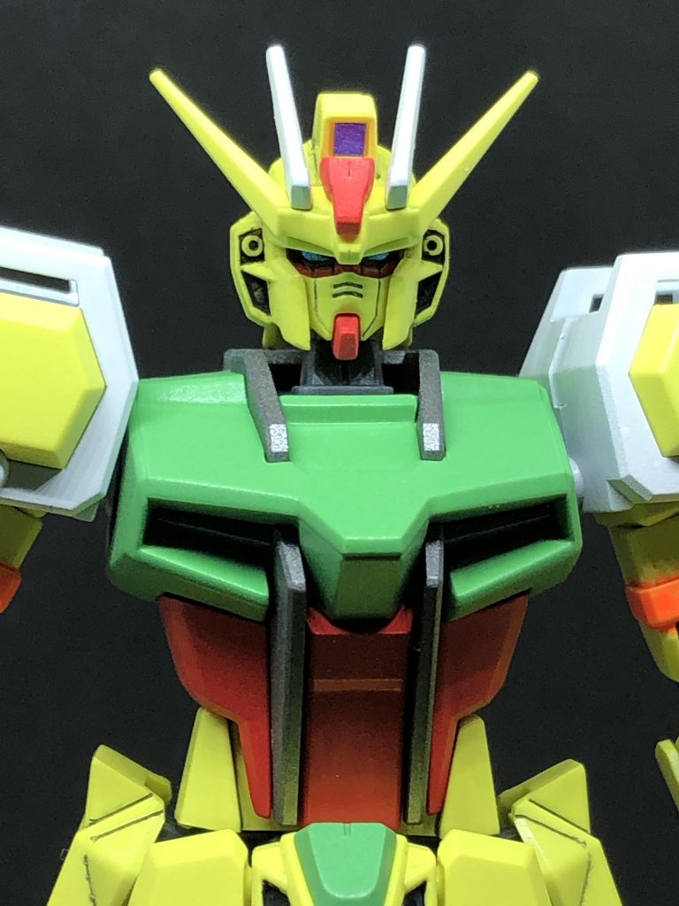 正面頭部アップ