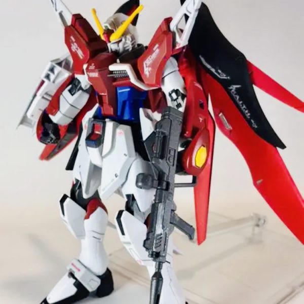 HGCE デスティニーガンダム｜AnalogKidsさんのガンプラ作品 