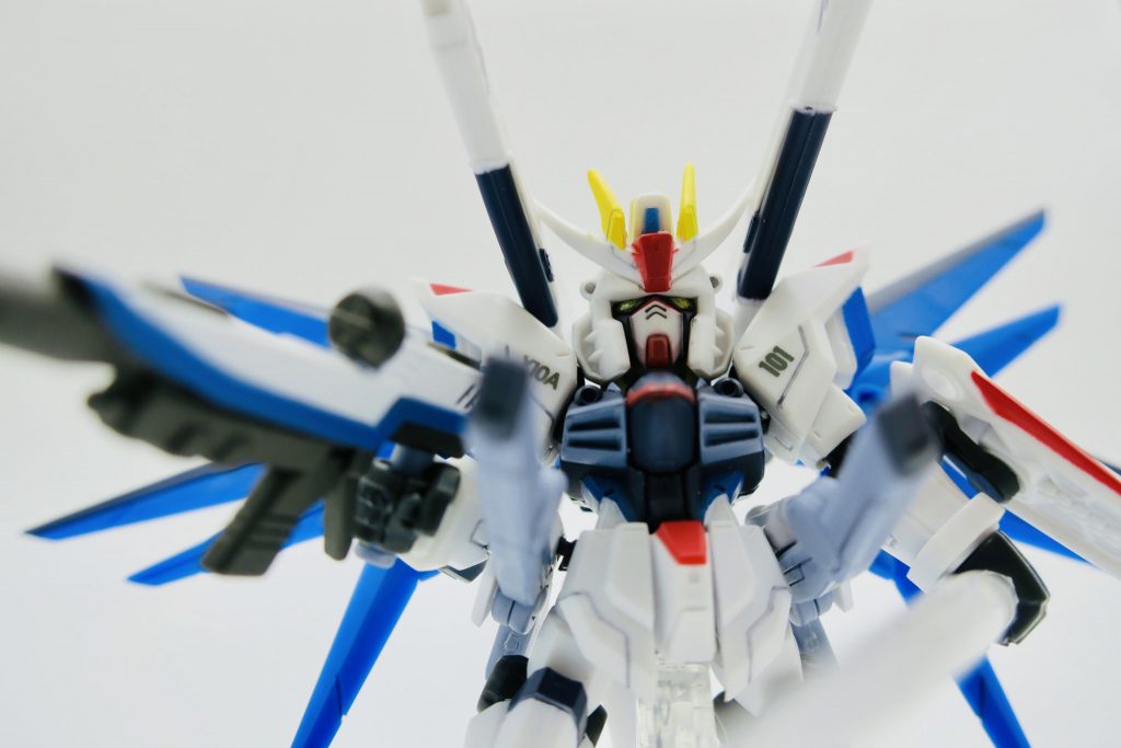 フリーダム単体