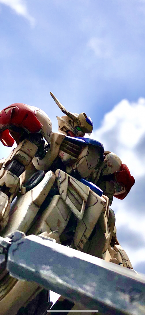 天気が良かったので、空背景でも一枚。