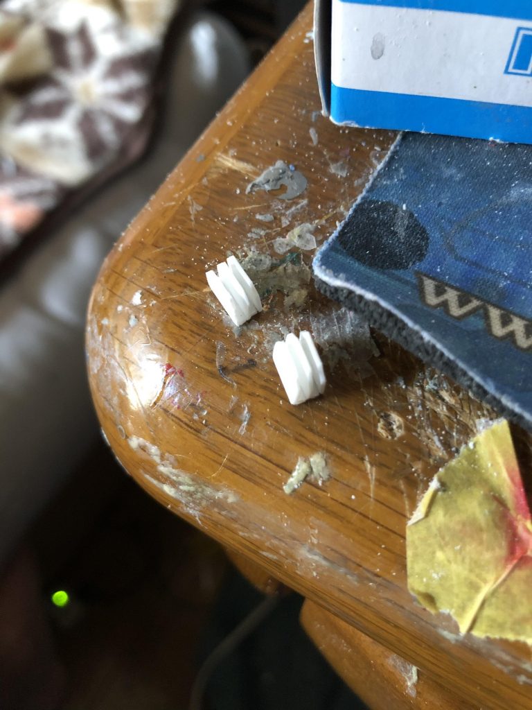 今回初めてシイタケをスクラッチしてみました。
初めての割には上手くいったかなぁと。