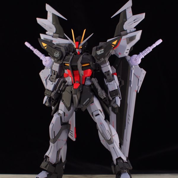 ストライクノワールver.RM｜アイススピードさんのガンプラ作品｜GUNSTA 