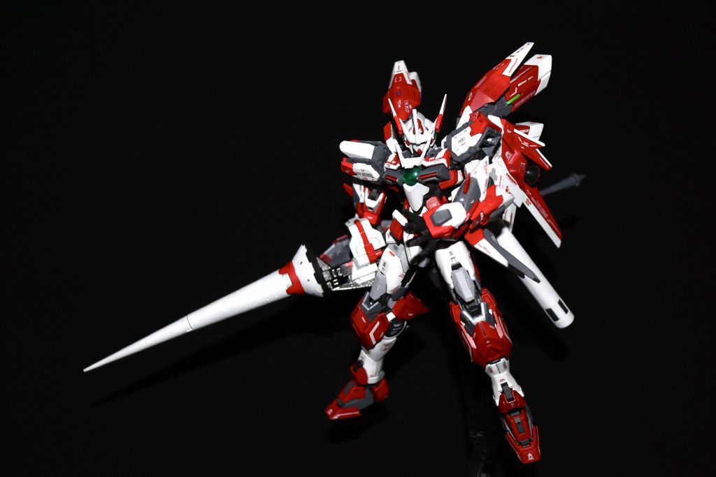 立ち姿です。
ランスが大きいため、画面いっぱいに写すよう撮影すると、どうしてと右寄りになってしまいました。