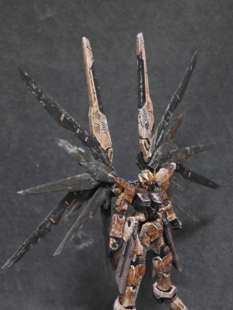 RG ZGMFーX10A FREEDOM–3枚目/制作者：ガンダムプラ男
